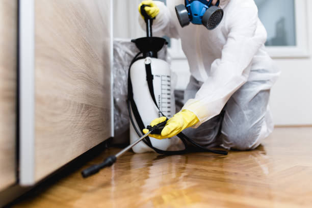 Best Commercial Pest Control Services  in Bridge City, LA
