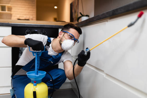 Best Affordable Pest Control Services  in Bridge City, LA