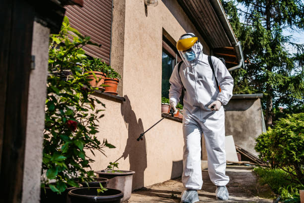 Best Bed Bug Extermination  in Bridge City, LA