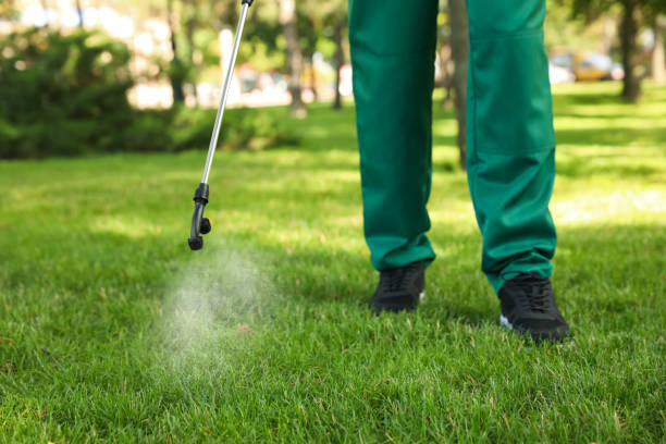 Best Best Pest Control Companies  in Bridge City, LA