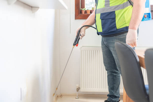 Best Pest Inspection Near Me  in Bridge City, LA