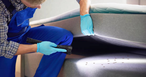 Professional Pest Control in Bridge City, LA