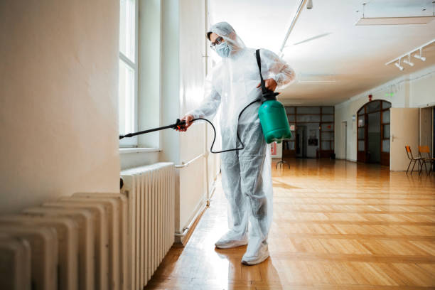 Reliable Bridge City, LA Pest Control Solutions